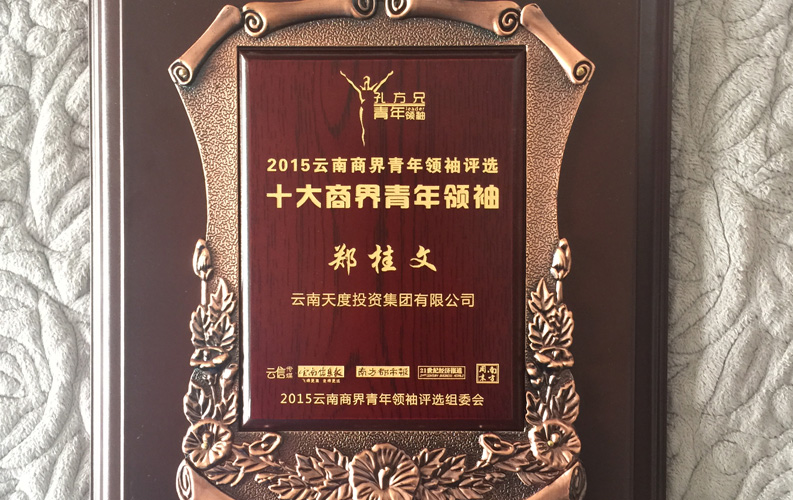 在“互聯(lián)網(wǎng)大時代”的背景下，天度作為本土很大和很有名的互聯(lián)網(wǎng)服務(wù)企業(yè)，為近萬家傳統(tǒng)企業(yè)轉(zhuǎn)型互聯(lián)網(wǎng)+提供了服務(wù)和幫助，獲此獎項后，我們將再接再厲，創(chuàng)造更高的社會價值